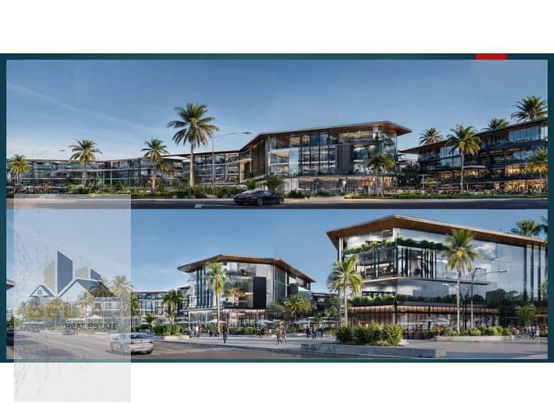 13 Screenshot 2024-12-03 160216. jpg