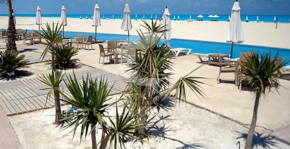 10 image - 2025-12-08T140304.648. png