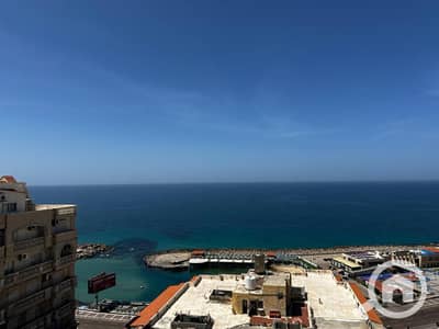 فلیٹ 3 غرف نوم للبيع في سابا باشا، الإسكندرية - WhatsApp Image 2025-12-08 at 12.38. 32 PM. jpeg فلیٹ 3 غرف نوم للبيع في سابا باشا، الإسكندرية - WhatsApp Image 2025-12-08 at 12.38. 32 PM. jpeg