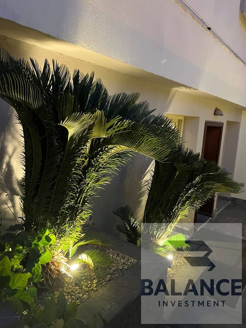 5 d720414d-2d83-4d0f-b32f-8ce93a0a1c10. jpg