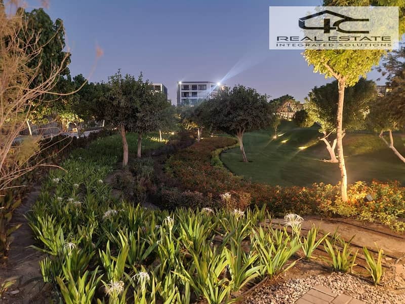 3 645d5710-c47c-4045-a074-1d37cd2c57f2. jpeg