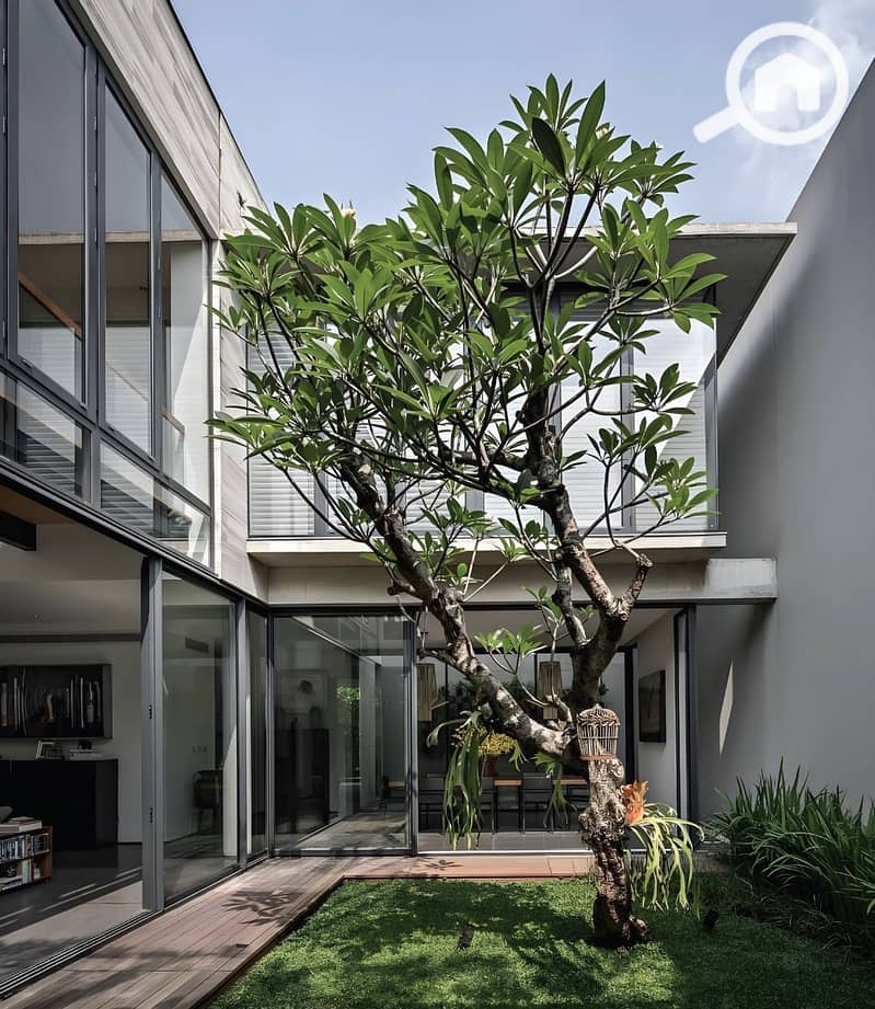 5 WhatsApp Image 2025-03-03 at 14.01. 55_d1afef30. jpg