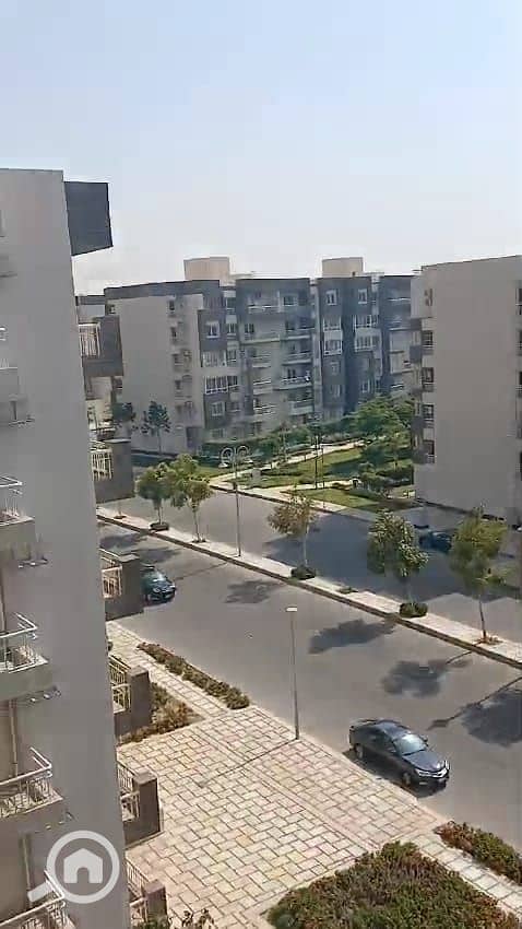 4 03d870ef-c73d-41f9-afed-f1d31227f35f. jpg