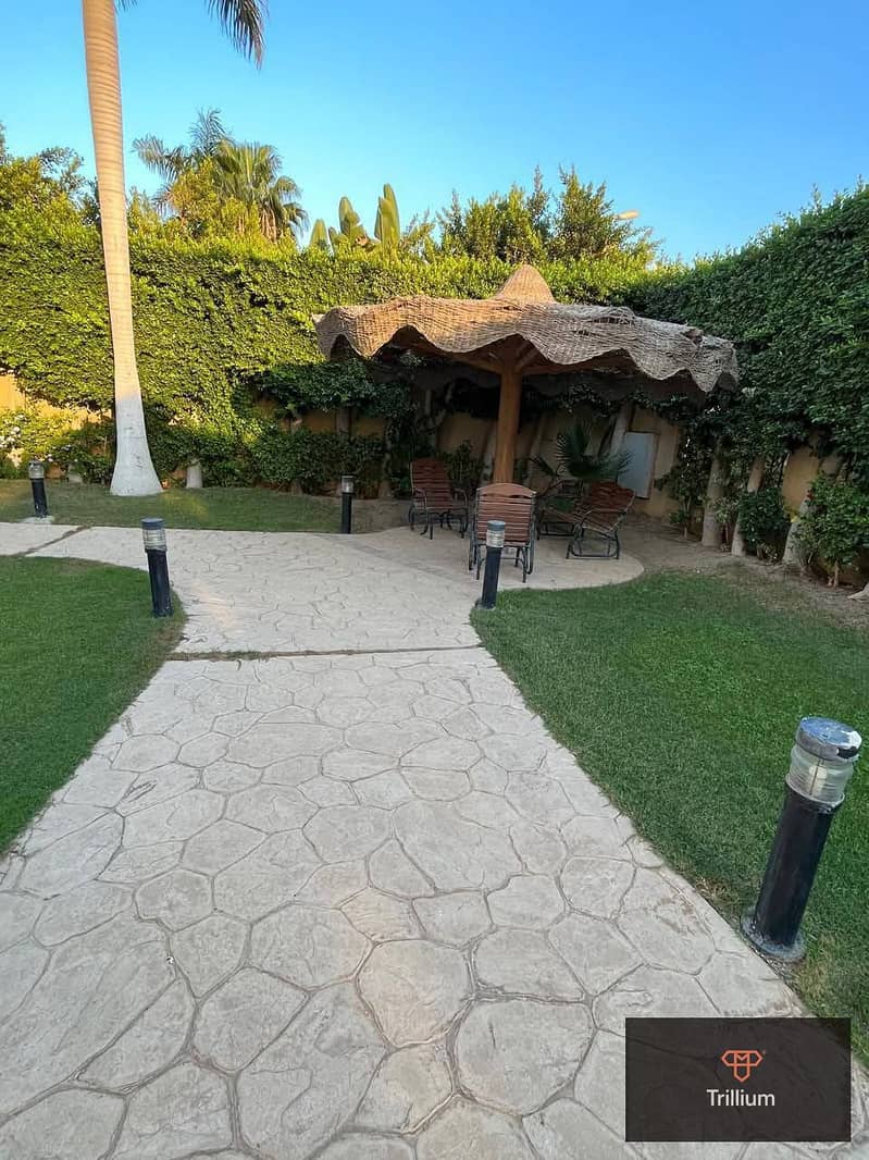 8 587099872_1239890574997416_4287446716348963633_n. jpg