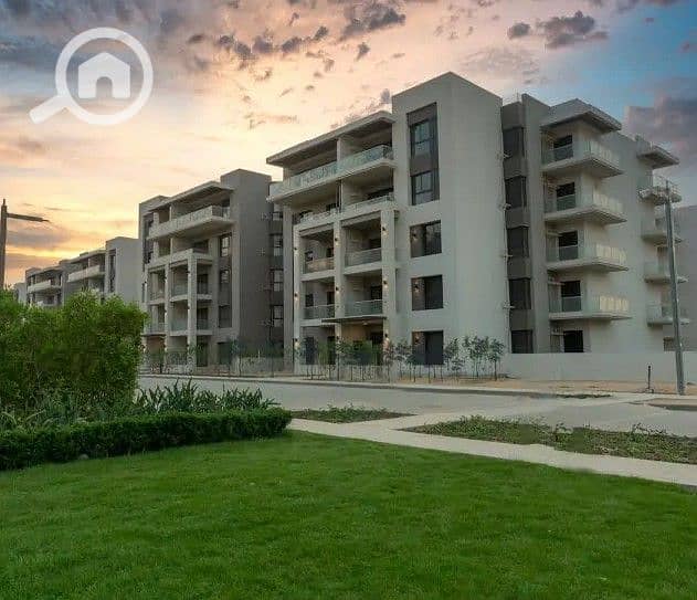 3 Screenshot 2025-09-10 170633. jpg