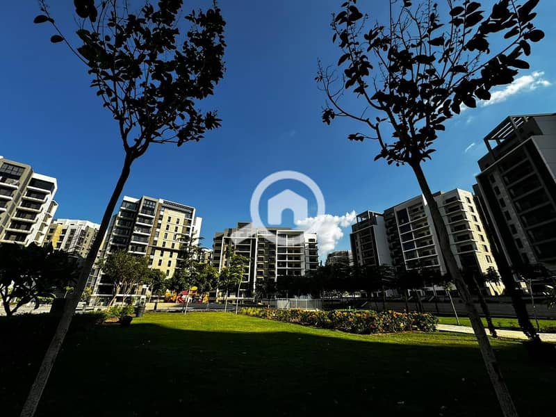 3 WhatsApp Image 2024-12-11 at 15.07. 36_fbcdd3e8. jpg