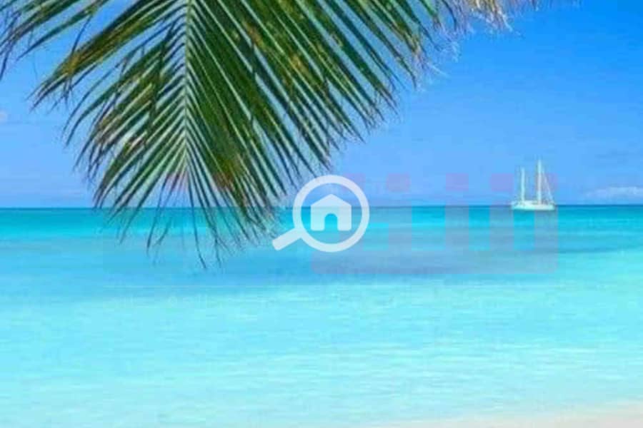 5 WhatsApp Image 2025-12-06 at 12.23. 46 PM (1). jpg