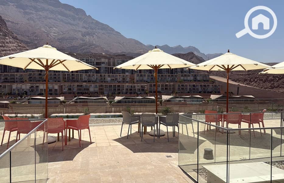 3 WhatsApp Image 2025-09-25 at 12.59. 13_b8ef591f. jpg