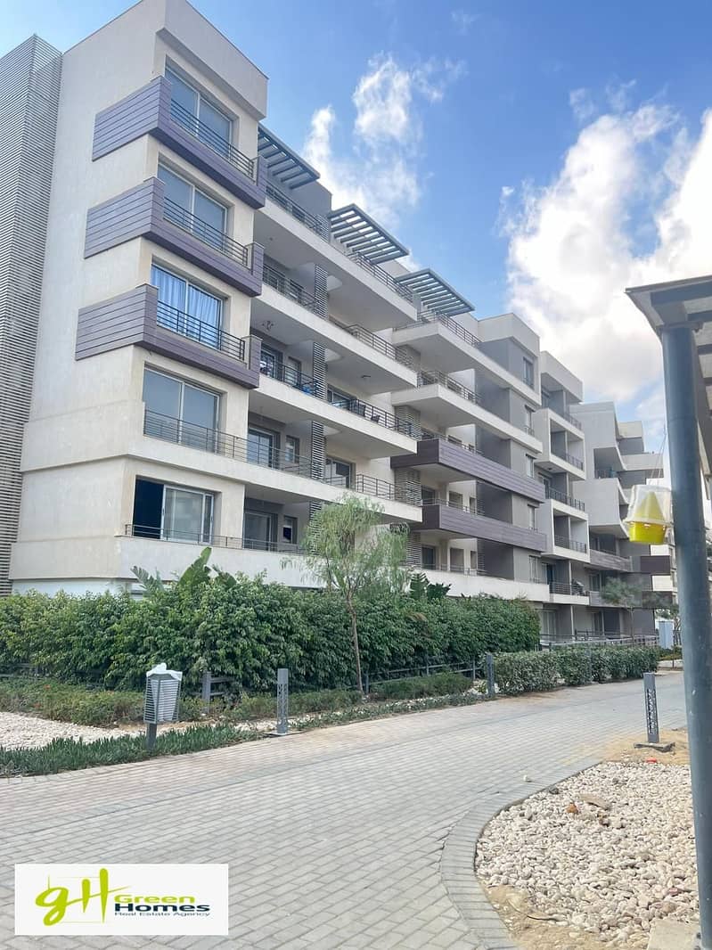 4 WhatsApp Image 2025-02-17 at 4.02. 12 PM (2). jpeg