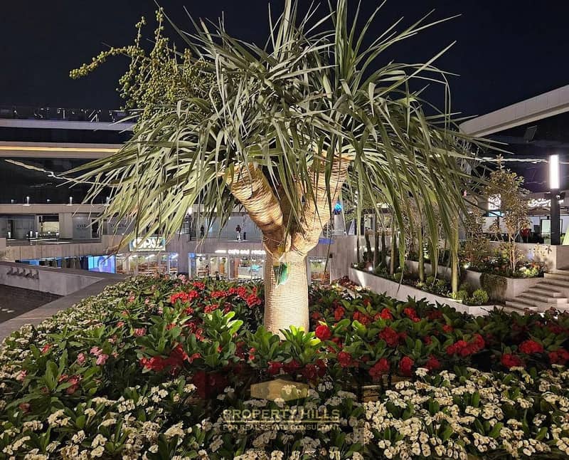 5 WhatsApp Image 2025-12-08 at 2.47. 57 PM (1). jpeg