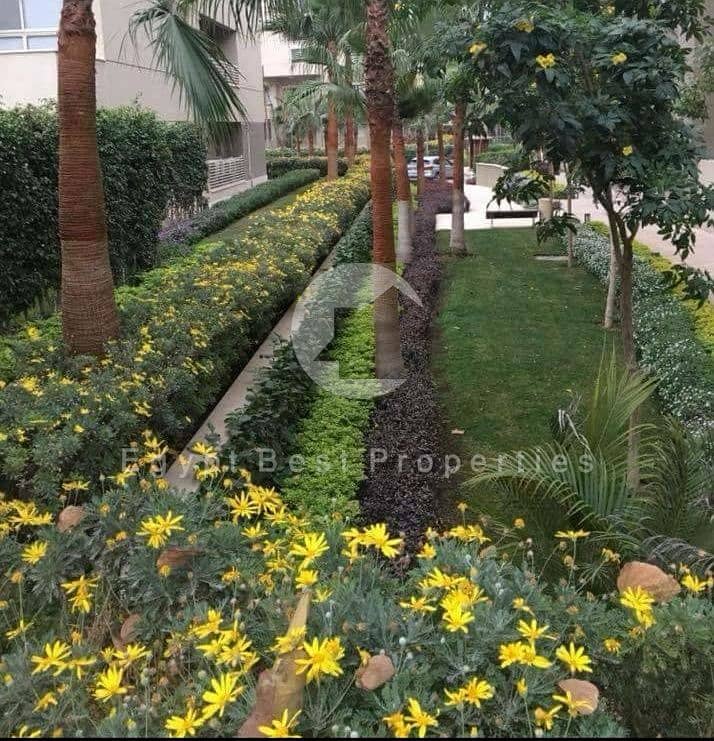 5 098752f6-a2da-4202-83b9-8f2ab7117226. jpg