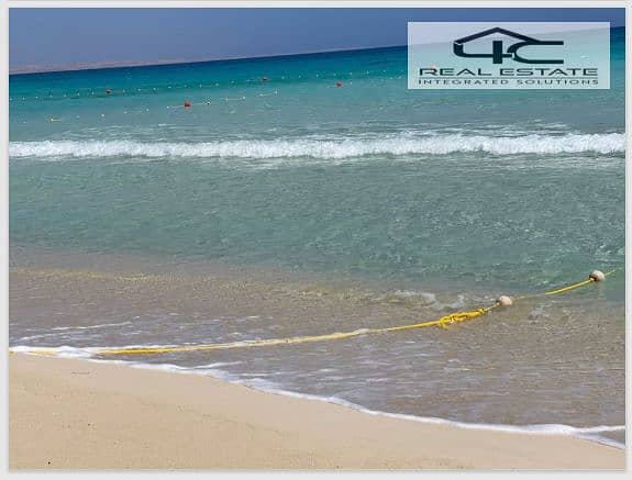 4 Screenshot (362). png