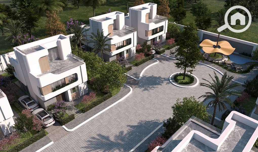 3 زايد جرينز 1. jpeg