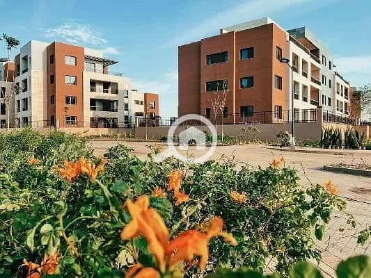 6 97e5eadb-8e2e-4715-adf6-55d0a34ab83f. jpeg