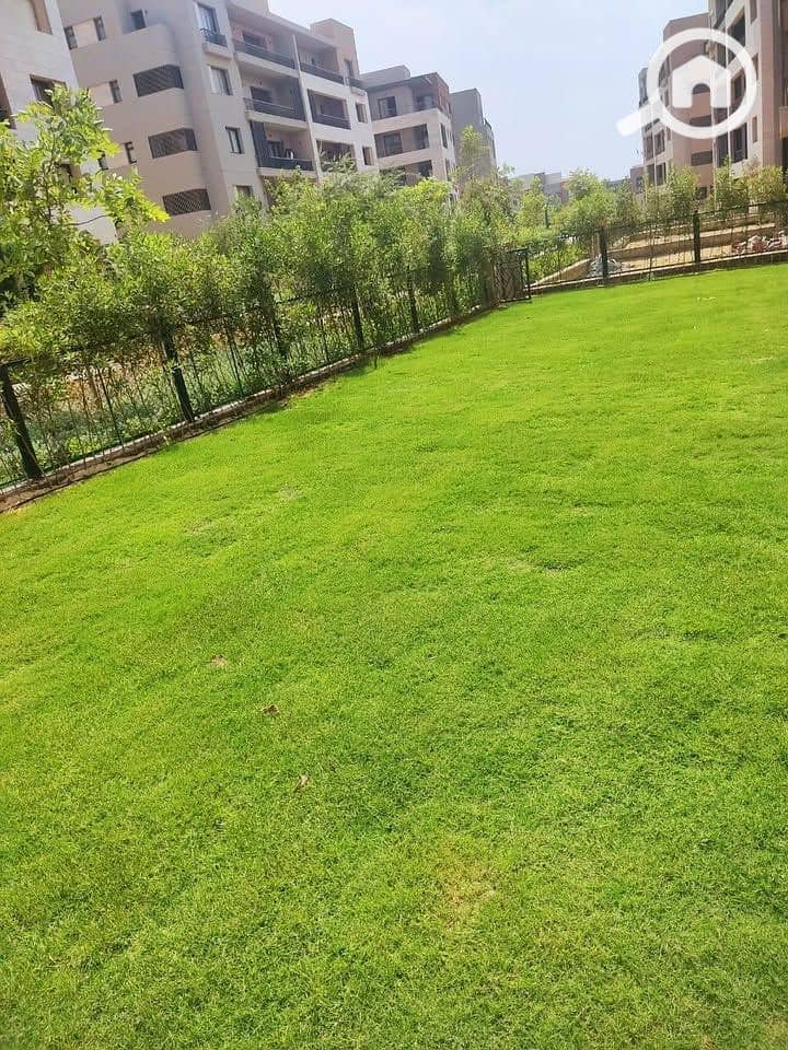 11 eff462ad-342d-457c-b2ae-b4b590a38c24. jpeg