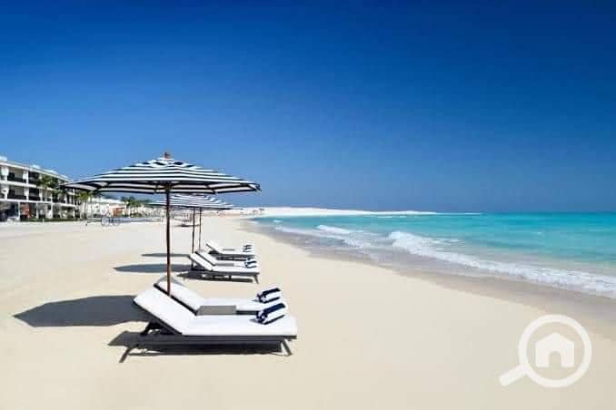 591804781. jpg 591804781. jpg