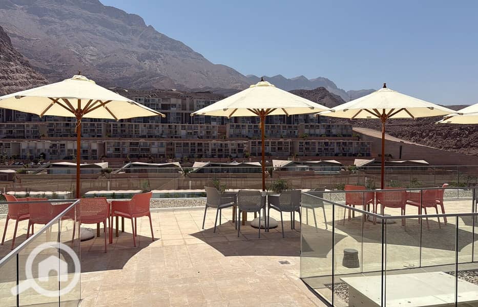 WhatsApp Image 2025-09-25 at 12.59. 13_b8ef591f. jpg WhatsApp Image 2025-09-25 at 12.59. 13_b8ef591f. jpg