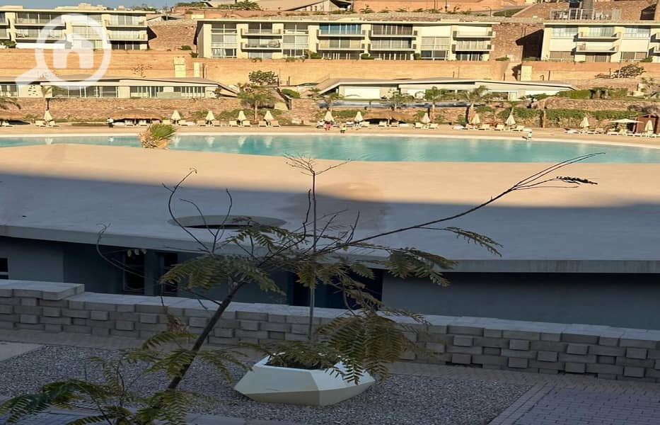 15 494445181_9860740807280030_6776332292776017825_n. jpg