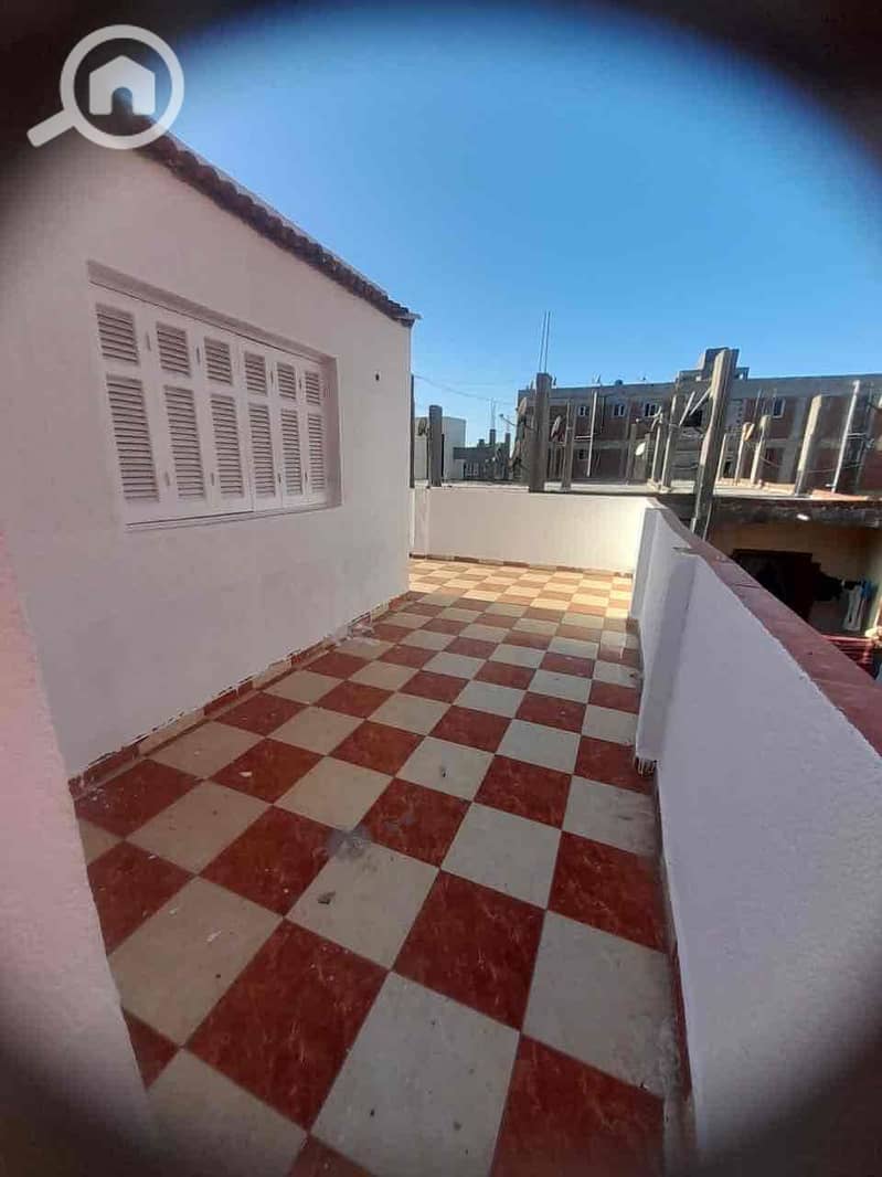 7 00d78724-94e1-46a7-a578-2e191abf9158. jpg