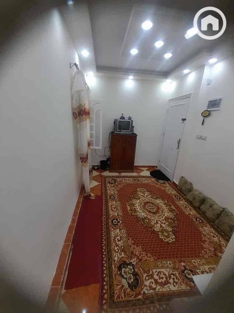 9 bd3d1ed9-6661-4367-b019-387ccabdc66b. jpg