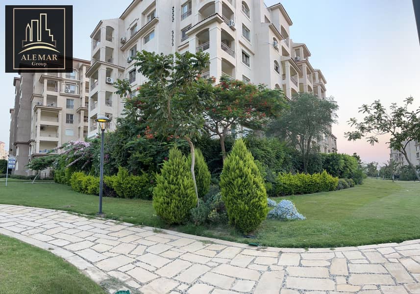 6 733ccccf-87c5-4abe-8bca-eb18762313d8. jpg