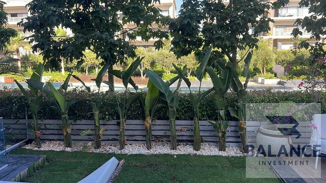 3 IMG-20251207-WA0005. jpg