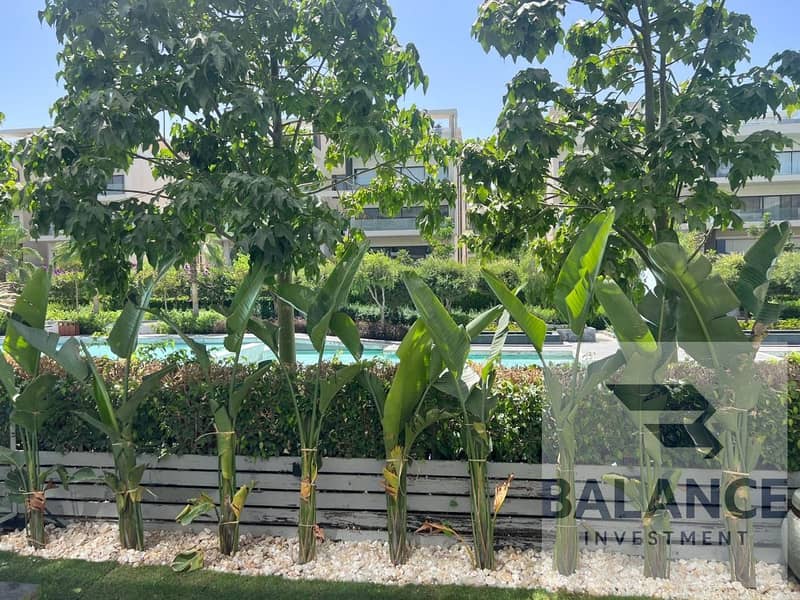 4 IMG-20251207-WA0006. jpg