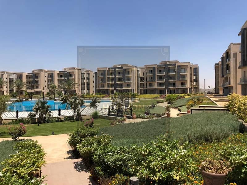 7 whatsapp-image-2021-03-19-at-44301-pm. jpeg