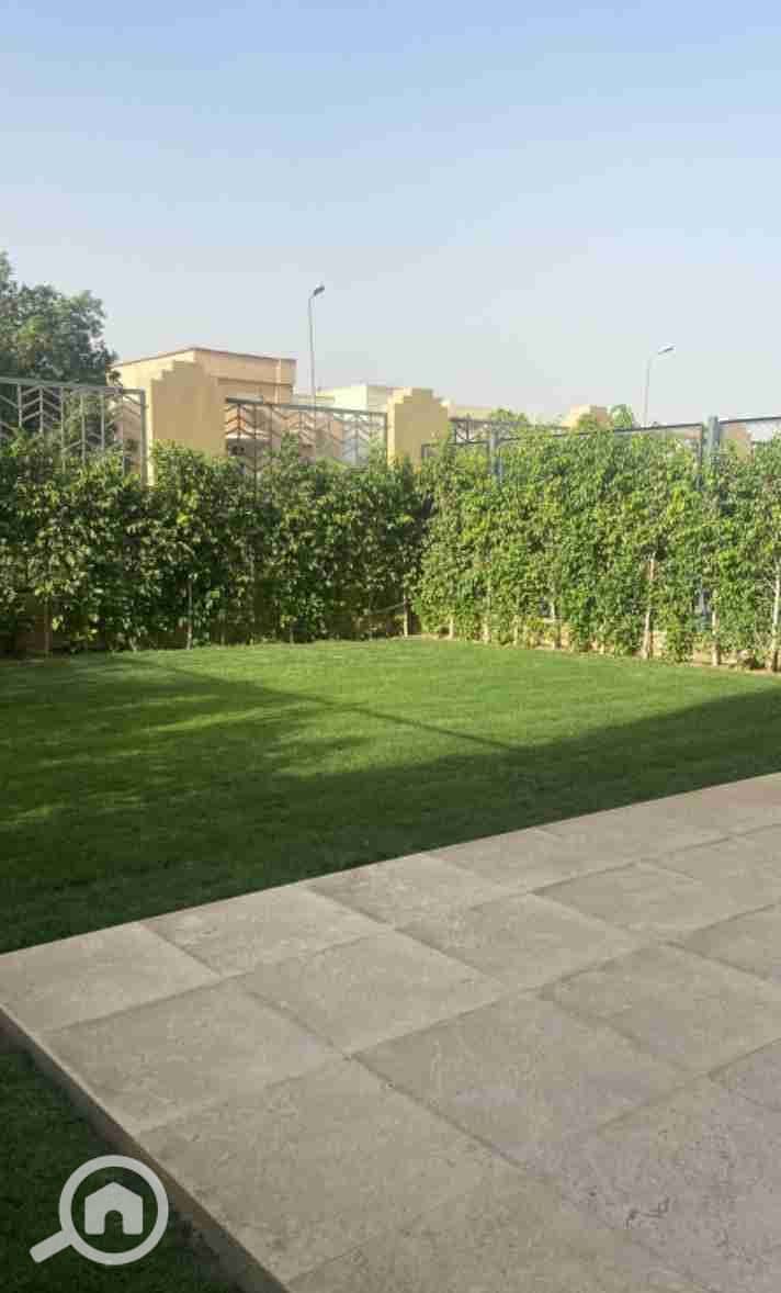 1000182181. jpg 1000182181. jpg