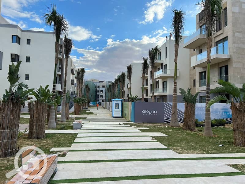 7 WhatsApp Image 2024-07-17 at 13.19. 43_d7341df6. jpg