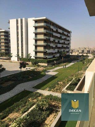 10 593479509_3014910548715956_5651574239961819715_n. jpg