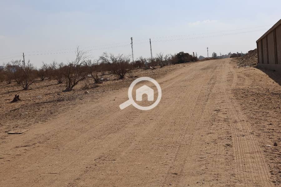 4 WhatsApp Image 2025-11-01 at 12.44. 01_9f234aa7. jpg