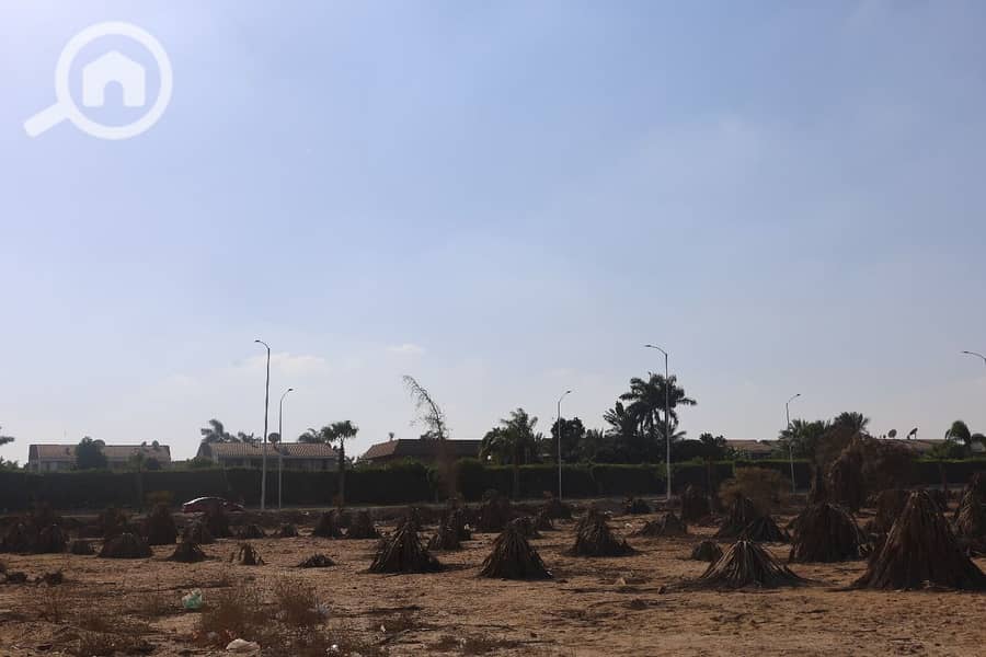 6 WhatsApp Image 2025-11-01 at 12.44. 03_9997b548. jpg