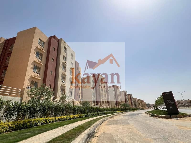 4 WhatsApp Image 2025-02-02 at 1.12. 13 PM - Copy. jpeg