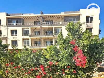 3 Bedroom Apartment for Sale in New Cairo, Cairo - 20303351-400x300. jpg