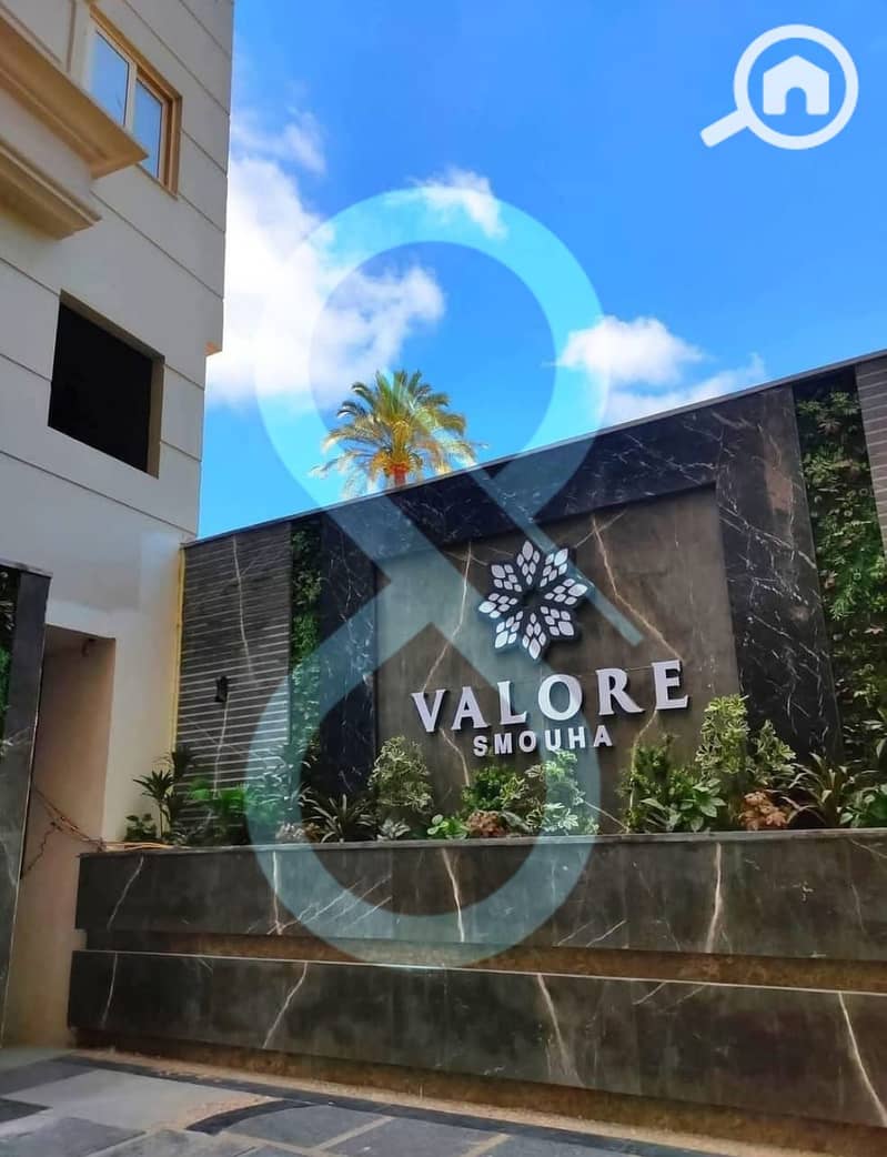 2 Valore Smouha (8569). 5. jpg