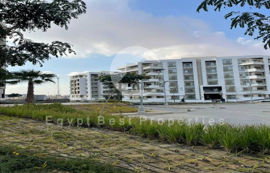 8 WhatsApp Image 2024-05-26 at 17.17. 50_a0d5b66f. jpg