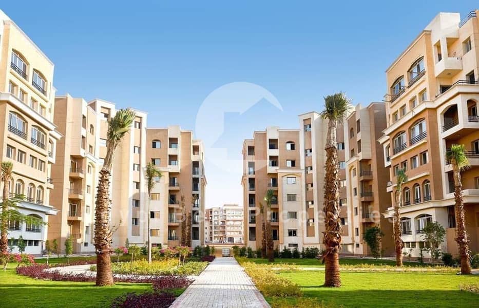 15 WhatsApp Image 2024-05-26 at 17.17. 49_79d9bab4. jpg