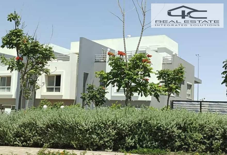 5 7823939-31366o. jpg