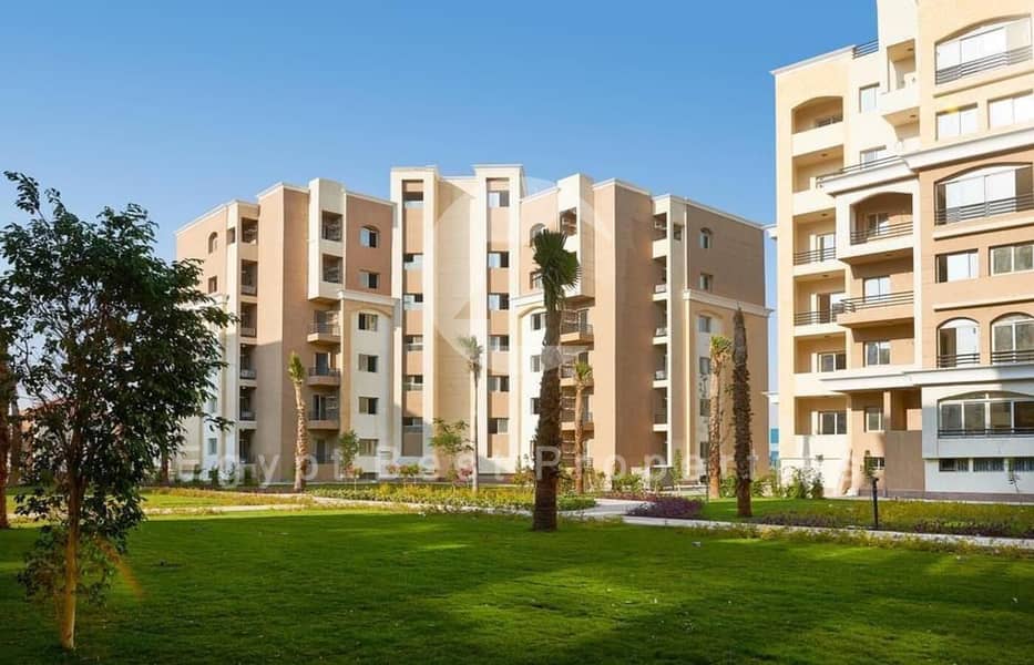 9 WhatsApp Image 2024-05-26 at 17.17. 48_821984cc. jpg