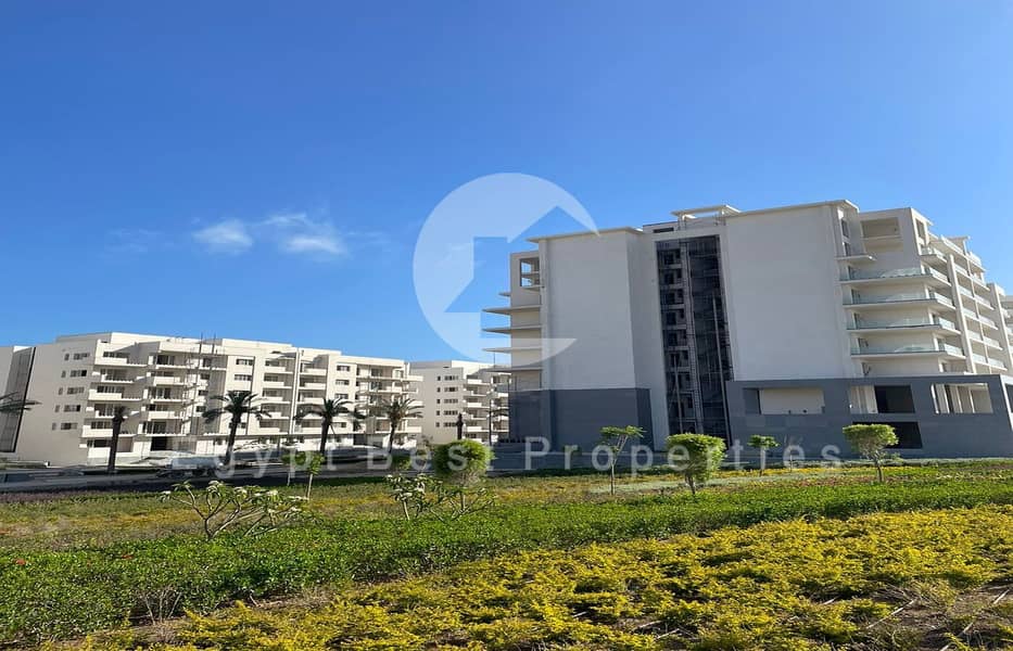 12 WhatsApp Image 2024-07-08 at 22.13. 49_009651d2. jpg