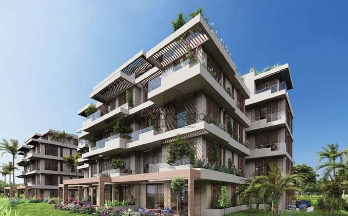 9 WhatsApp Image 2025-12-01 at 2.26. 41 PM. jpeg