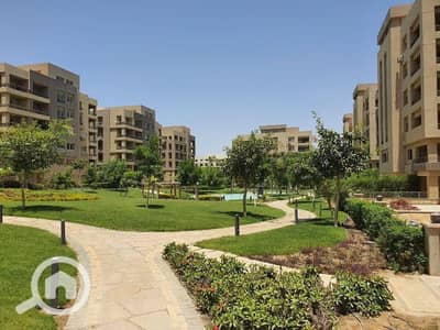 فلیٹ 4 غرف نوم للبيع في القاهرة الجديدة، القاهرة - 595780043_1858173538400679_3232773869050955236_n. jpg