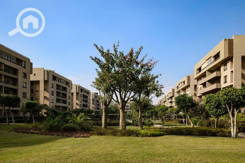 3 01JNJVQN48P6STSVRPFKJXTGP8. jpg