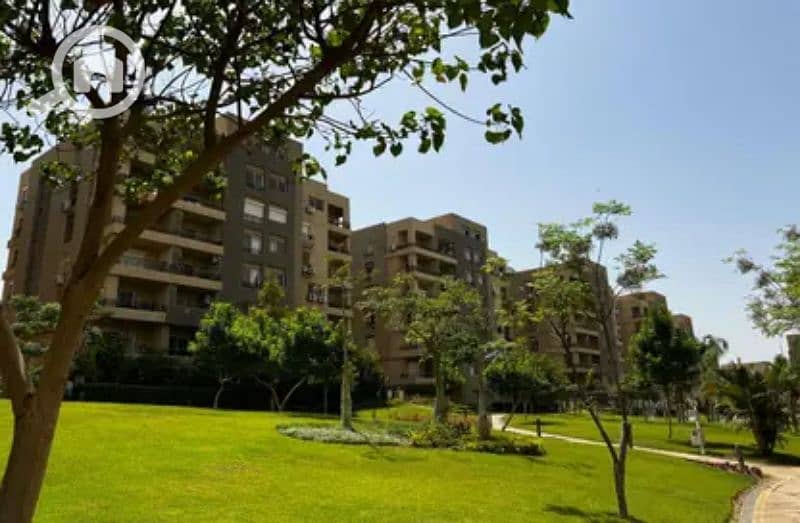 9 8366926-0ea72o. jpg