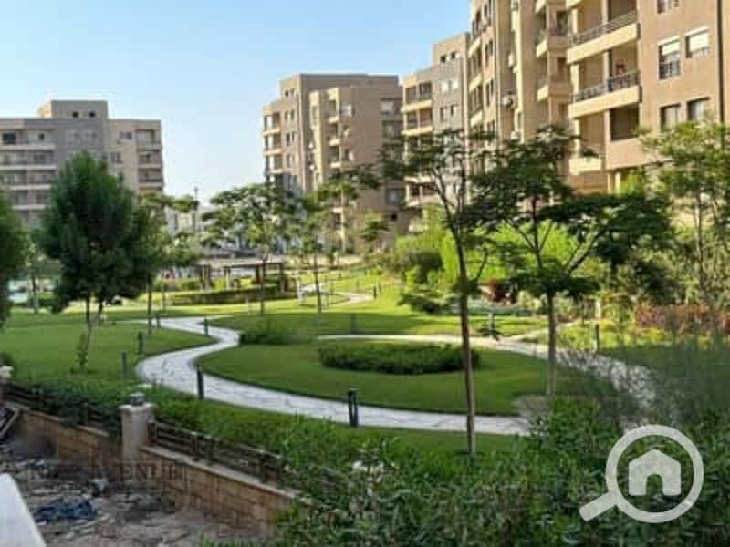 10 154766878-400x300. jpg