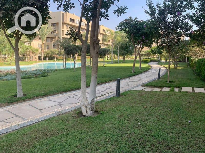 11 592912977_122112221091066410_1876831554924355324_n. jpg