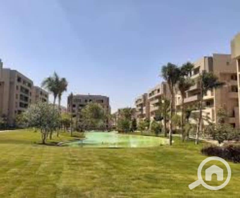 14 images (3). jfif. jpg