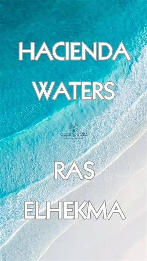 4 WhatsApp Image 2025-12-01 at 2.27. 35 PM. jpeg