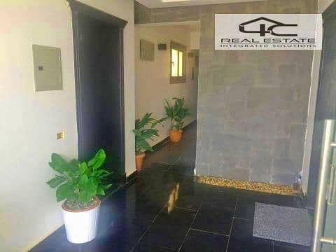 2 96234058_147810616792648_4443956249754599424_n. jpg